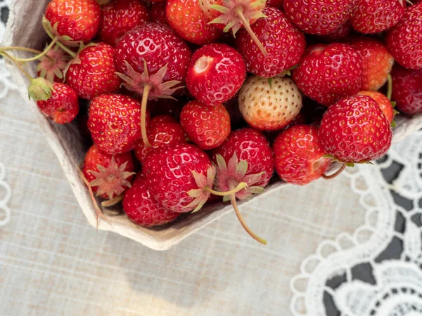 Homemade Strawberry Bed Homemade Strawberries — Stock Photo, Image