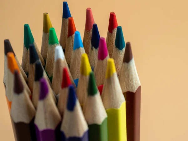 Education Back School Concept Colored Pencils Orange Background — Stock fotografie