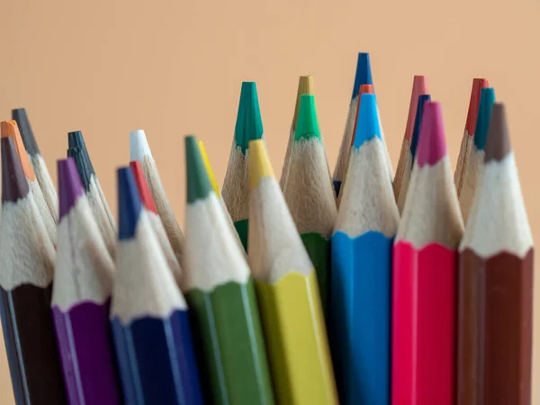 Éducation Concept Retour École Crayons Couleur Sur Fond Orange — Photo