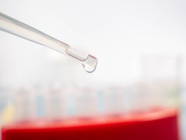 Analitik kimya - örnek laboratuarda analiz için test tüpüne yerleştiriliyor.