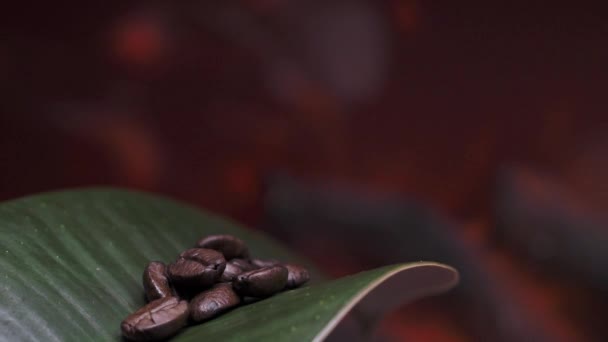 Coffee Beans Lie Green Leaf Background Fire Coffee Background — 图库视频影像