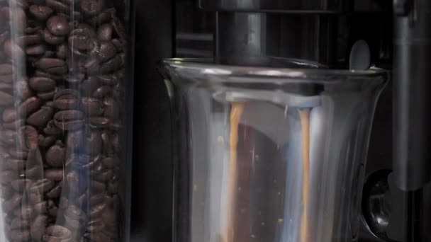 Freshly Brewed Coffee Prepared Coffee Machine Glass Cup Black Coffee — 비디오