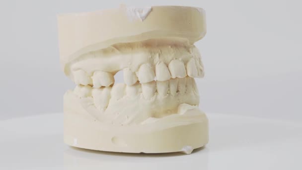Plaster Model Cast Human Teeth Teeth Model White Background — 비디오