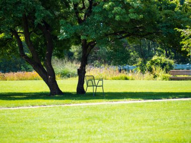 Metal chairs under a tree in the park. Green Park.