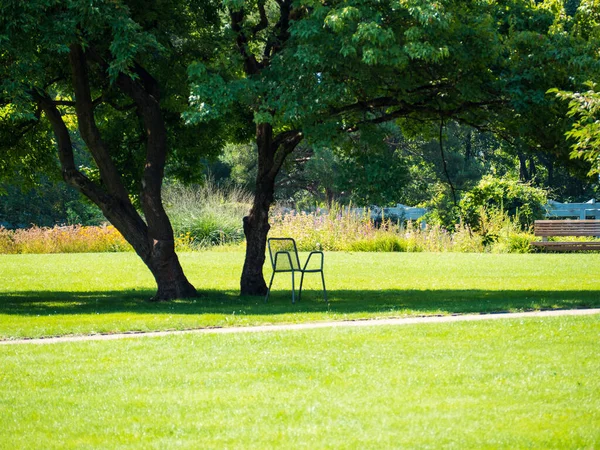 Metal Chairs Tree Park Green Park — Zdjęcie stockowe