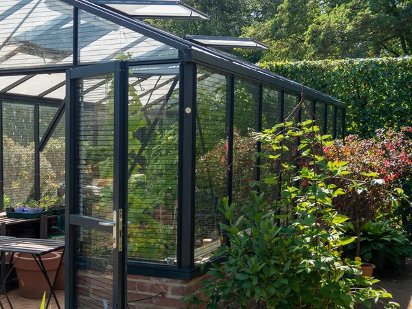 Greenhouse for vegetables. The interior of a home greenhouse for growing vegetables.