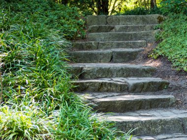 Stone steps in the forest. Steps made of stone in the forest. Close up.