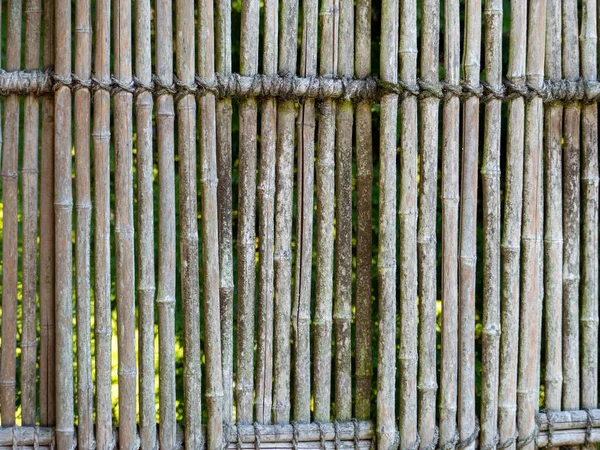 Bamboo fence. Background with old bamboo fence. Close up.