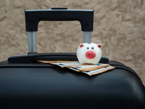 Small Piggy Bank Suitcase Concept Saving Money Relax Travel Vacation — Zdjęcie stockowe