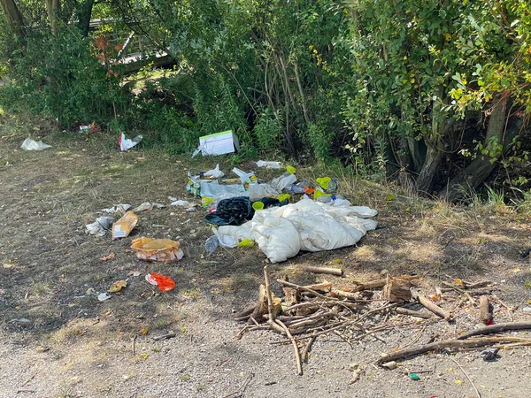 Littered park. Scattered trash. Littering garbage nature. Ecology.