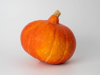 Pumpkin on a white background. Close-up. Fresh pumpkin.