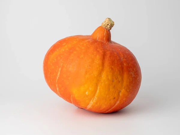 Pumpkin White Background Close Fresh Pumpkin — 图库照片