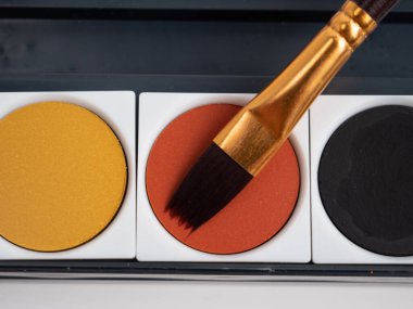 Brushes and watercolor paints on a white background. Drawing tool.