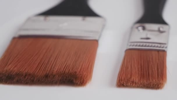 Brush Painting White Background High Quality Footage — Video Stock