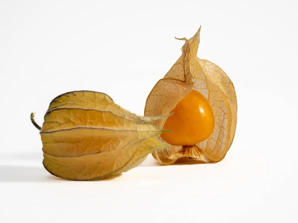 Cape gooseberry, physalis isolated on white background. Close-up.