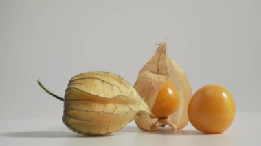  Cape gooseberry, physalis isolated on white background. High quality 4k footage