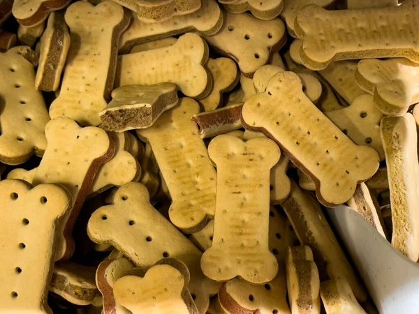 Dog biscuit in the form of a bone. Treats for dogs. Cookies for dogs. Close-up.