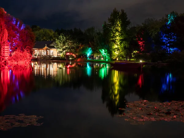 Trees on the pond in multi-colored lights. Light show in the park.