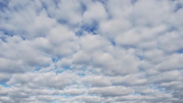 Lapso Tiempo Nubes Esponjosas Flotan Través Del Cielo Azul Paisaje — Vídeos de Stock