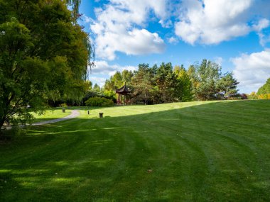 Sonbahar parkında güzel renkli ağaçlar. Autumn Park.