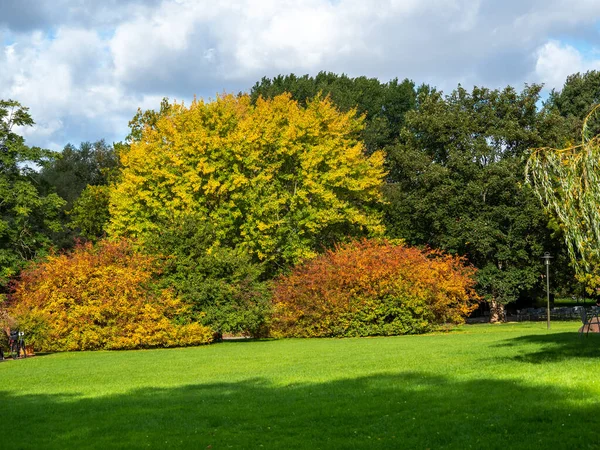 Piękne Kolorowe Drzewa Jesiennym Parku Park Jesienny — Zdjęcie stockowe