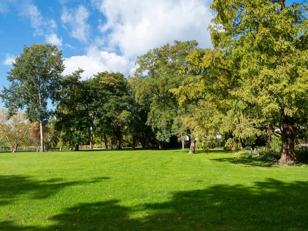 Piękne Kolorowe Drzewa Jesiennym Parku Park Jesienny — Zdjęcie stockowe