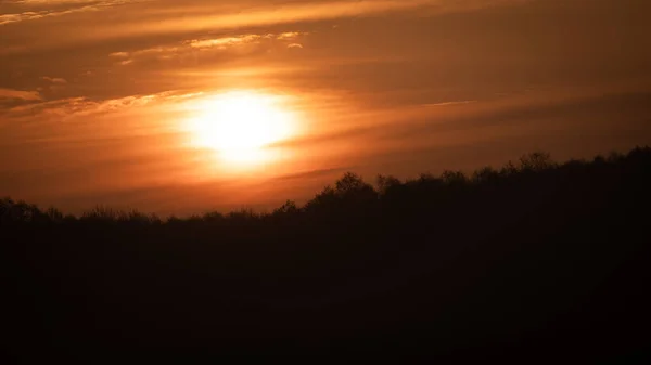 Beau Lever Soleil Sauvage Sur Forêt Ciel Nuageux Orange Soleil — Photo