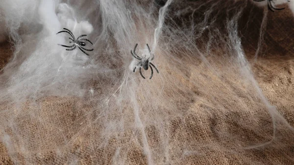 クモとクモの巣の背景にある人間の骨格テキストのための場所、ハロウィーンのお祝いの概念 — ストック写真