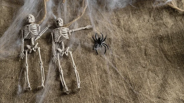 Esqueletos humanos no fundo de aranhas e teias de aranha com um lugar para o texto, o conceito de celebração de Halloween — Fotografia de Stock