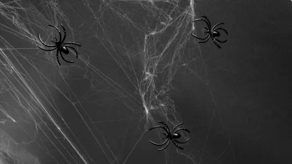 Toile artificielle avec des araignées noires sur un fond noir avec un endroit pour le texte, concept Halloween — Photo