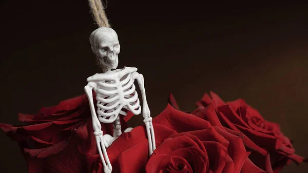 Esqueleto humano artificial, esqueleto estatueta em uma corda, conceito halloween — Fotografia de Stock