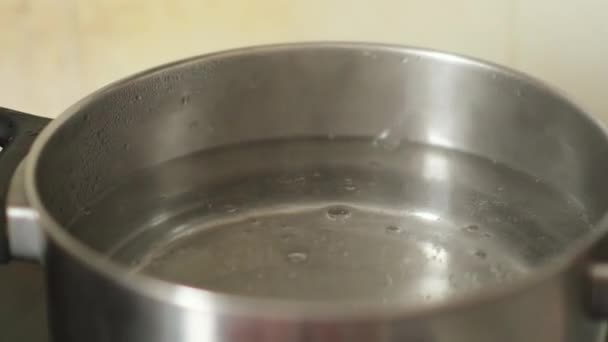ストーブの上でお湯を沸かす健康的な食事の概念は — ストック動画