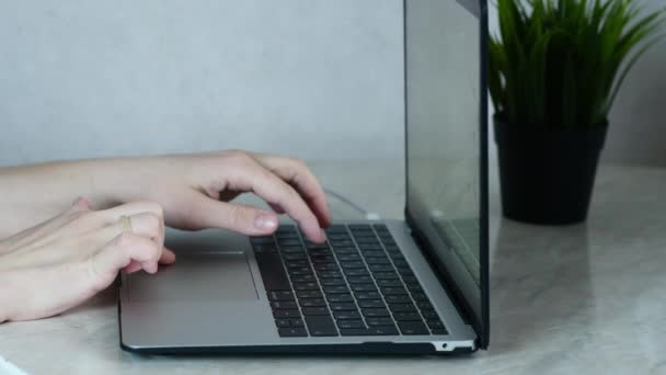 Händerna på en ljushyad person typ text på en bärbar dator, begreppet distansarbete online — Stockvideo