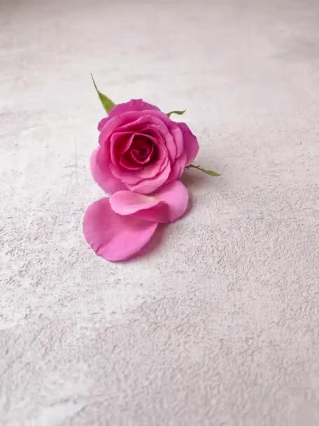 停止运动视频玫瑰花瓣折叠成一个心脏，情人节的概念 — 图库视频影像