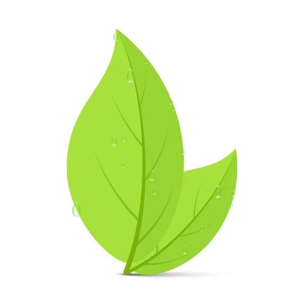 Folhas Verdes Frescas Com Gotas Água Ecologia Ambiental Conceito Vetor — Vetor de Stock