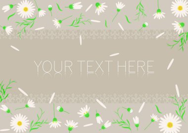 Beyaz Kozmos çiçek desenli çerçeve çizimi