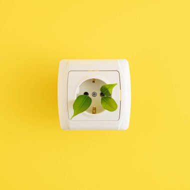 Sarı arka planda yeşil yapraklar ve prizden yapılmış yenilenebilir enerji düzeneği. Minimum düz konsept.