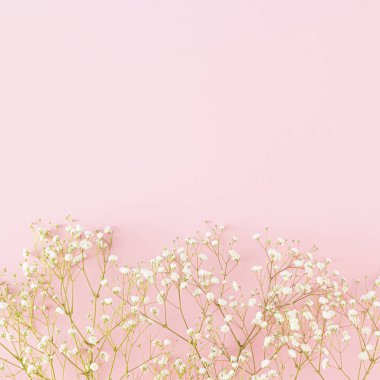 Pembe arka plandaki çiçeklerden yapılmış yaratıcı pastel bahar düzenlemesi. Fotokopi alanı ile çok az çiçek konsepti. Düğün, Paskalya ya da Anneler Günü ilhamı.