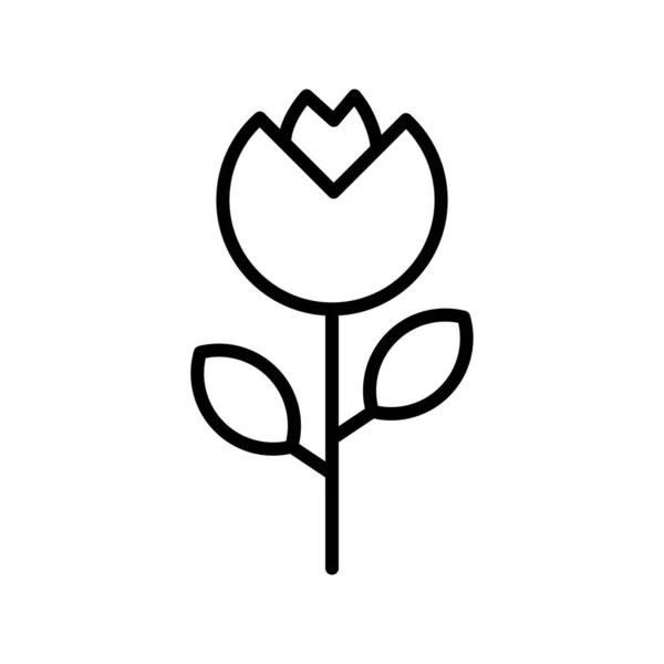 Bloemenschema Vector Icon Desig — Stockvector