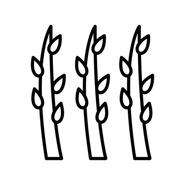 Asperges Schets Vectoricoon Desig — Stockvector