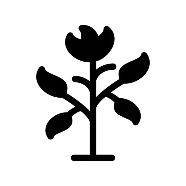 Baum Glyphen Vektor Symbol Desig — Stockvektor