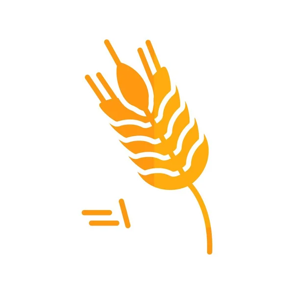 Пшеничная Векторная Икона Дезиг — стоковый вектор
