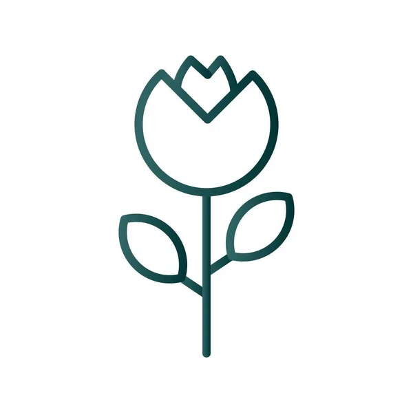 Flower Line Gradient Vector Icon Desig — Stockvektor