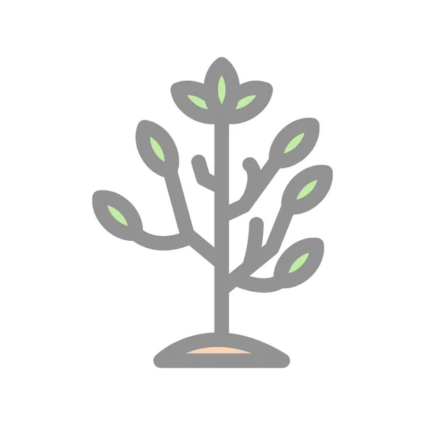 Baum Gefüllter Lichtvektor Icon Desig — Stockvektor