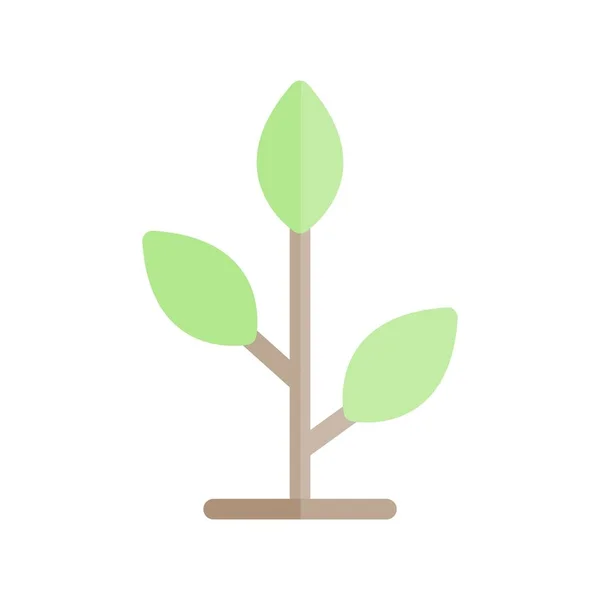 Plant Platte Lichtvector Pictogram Ontwerp — Stockvector