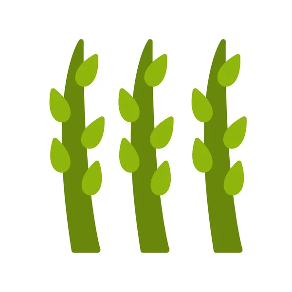 Asparagus Düz Vektör Simgesi Tasarımı — Stok Vektör