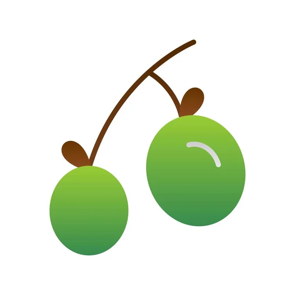 Olives Flat Gradient Vector Icon Desig — Stock Vector