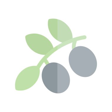 Zeytin Düz Işık Vektör Simgesi Tasarımı