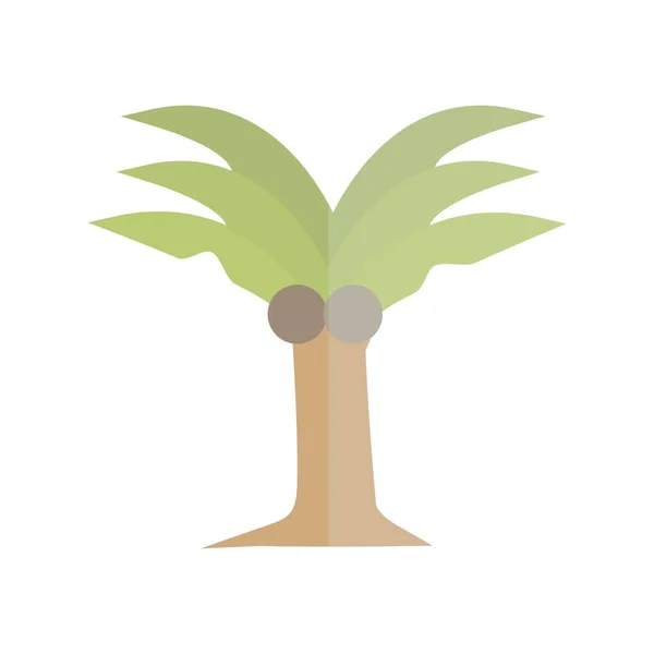 Palm Tree Flat Light Vector Icon Desig — Stock Vector