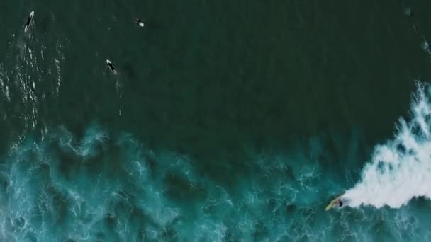 Aerial Footage Surfers West Coast Portugal Shows Small Beach Surfers — Stock Video